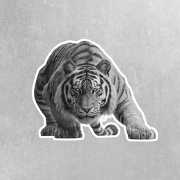Tiger Sticker | Tiger Hunting Sticker | Tiger Decal