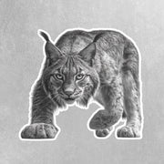 Lynx Sticker | Lynx Hunting Sticker | Lynx Decal