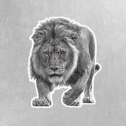 Lion Sticker | Lion Hunting Sticker | Lion Decal