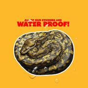 Burmese Python Sticker
