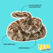 Western Diamondback Rattlesnake Sticker
