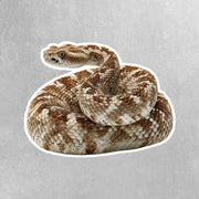 Western Diamondback Rattlesnake Sticker
