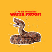 Cottonmouth Snake Sticker