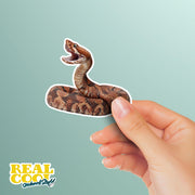 Cottonmouth Snake Sticker