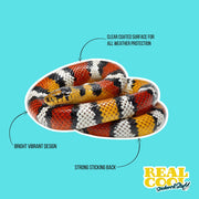 Coral Snake Sticker