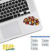 Coral Snake Sticker