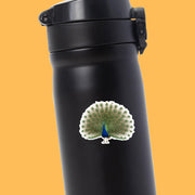 Peacock Sticker - Peacock Decal - Peacock Water Bottle Sticker