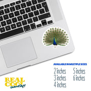 Peacock Sticker - Peacock Decal - Peacock Water Bottle Sticker