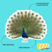 Peacock Sticker - Peacock Decal - Peacock Water Bottle Sticker