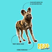 African Wild Dog Sticker - Wild Dog Decal - Wild Dog Water Bottle Sticker