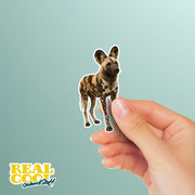 African Wild Dog Sticker - Wild Dog Decal - Wild Dog Water Bottle Sticker