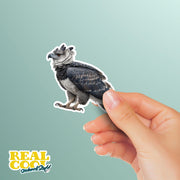 Harpy Eagle Sticker | Harpy Eagle Water Bottle Sticker | Harpy Eagle Decal