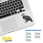 Harpy Eagle Sticker | Harpy Eagle Water Bottle Sticker | Harpy Eagle Decal