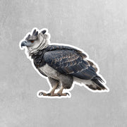Harpy Eagle Sticker | Harpy Eagle Water Bottle Sticker | Harpy Eagle Decal
