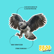 Harpy Eagle Sticker | Harpy Eagle Water Bottle Sticker | Harpy Eagle Decal