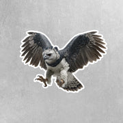 Harpy Eagle Sticker | Harpy Eagle Water Bottle Sticker | Harpy Eagle Decal