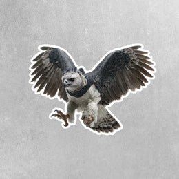 Harpy Eagle Sticker | Harpy Eagle Water Bottle Sticker | Harpy Eagle Decal