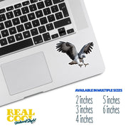 Harpy Eagle Sticker | Harpy Eagle Water Bottle Sticker | Harpy Eagle Decal