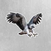 Harpy Eagle Sticker | Harpy Eagle Water Bottle Sticker | Harpy Eagle Decal