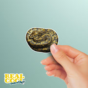 Burmese Python Sticker