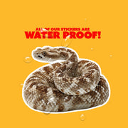 Western Diamondback Rattlesnake Sticker