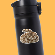 Western Diamondback Rattlesnake Sticker