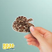 Timber Rattlesnake Sticker