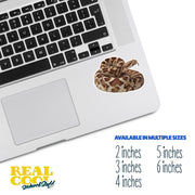 Timber Rattlesnake Sticker