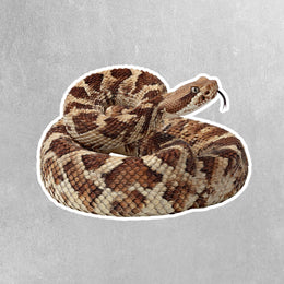 Timber Rattlesnake Sticker