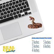 Cottonmouth Snake Sticker