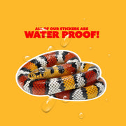 Coral Snake Sticker