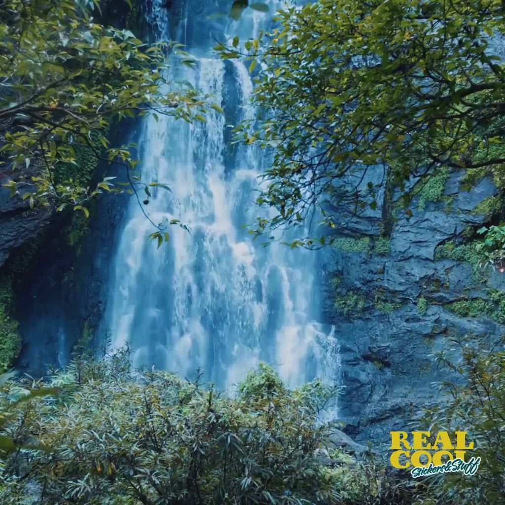 Amazon Rainforest Sticker - Brazil Rainforest Sticker - Rainforest Decal